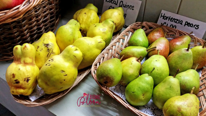 farm fresh pears. find the cross.